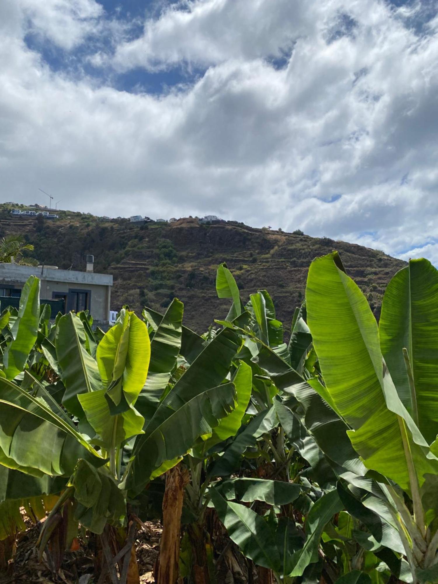 Pana House Apartment Calheta  Luaran gambar